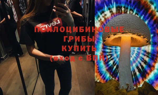 тгк Михайловка