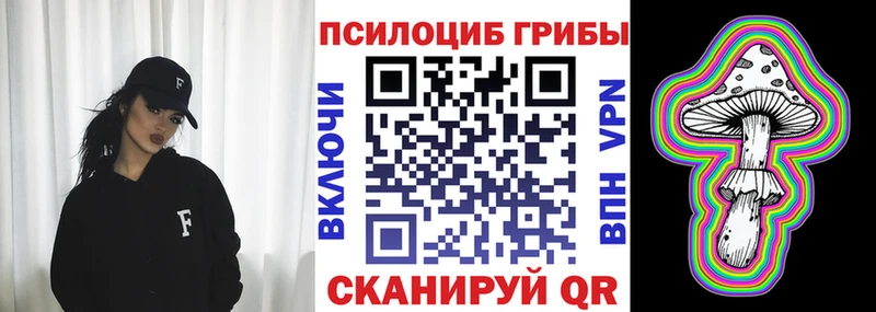 дарнет шоп KRAKEN ONION Псилоцибиновые грибы Psilocybe Почеп